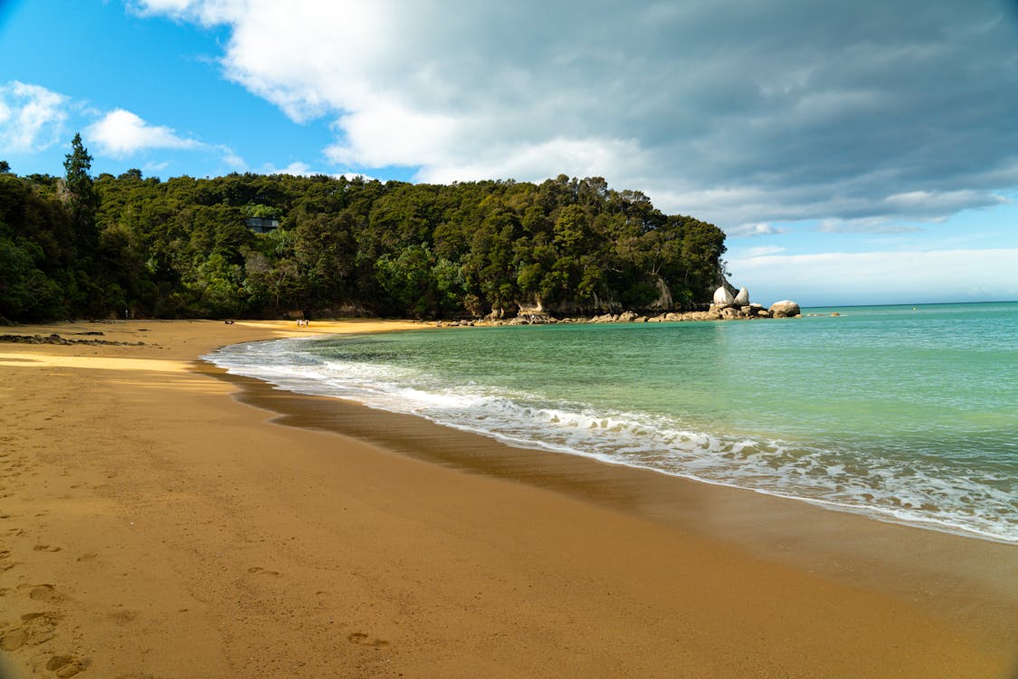 Abel Tasman National Park Tour